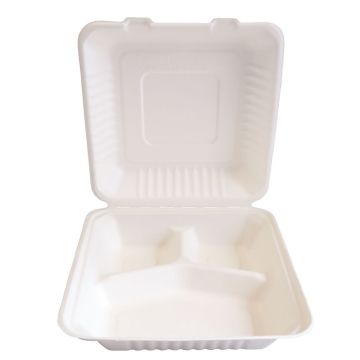 Biodegradable take away box 